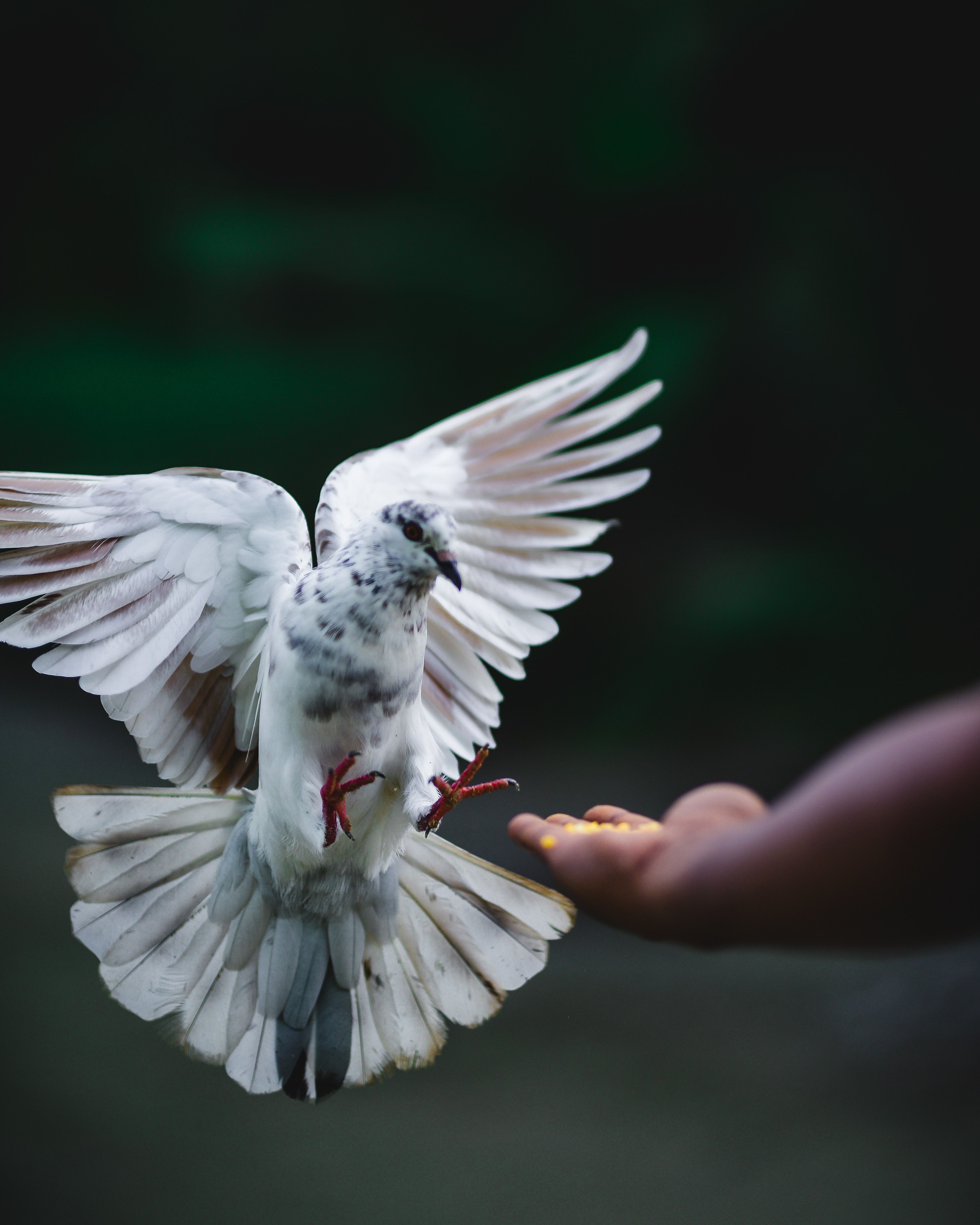 unsplash_bYzQxJi8Y7g